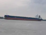 حامل فله برای فروش