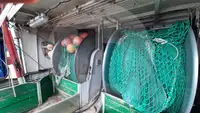 کشتی حمل و نقل ماهی زنده برای فروش