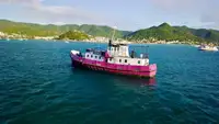 General Cargo/Multi-purpose برای فروش