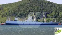 Ro-Ro ship برای فروش