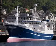 Purse seiner برای فروش