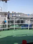 کشتی لایروبی برای فروش
