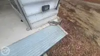 کشتی مسافری برای فروش