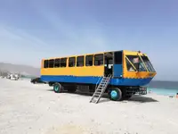 دوزیست برای فروش