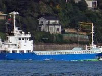 General Cargo/Multi-purpose برای فروش