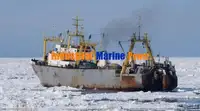 کشتی یخچالدار برای فروش