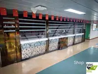کشتی رو-رو برای فروش