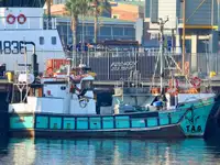 Purse seiner برای فروش