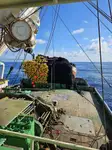 Purse seiner برای فروش