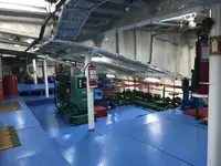 Ro-Ro ship برای فروش