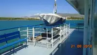 Ro-Ro ship برای فروش