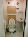 قایق گشتی برای فروش