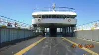 Ro-Ro ship برای فروش