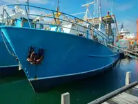 Trawler برای فروش