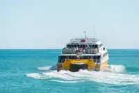 کاتاماران برای فروش
