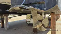 کتاماران برای فروش
