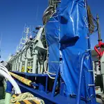 Purse seiner برای فروش