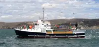 Purse seiner برای فروش
