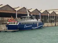 کشتی مسافری برای فروش