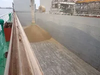 General Cargo/Multi-purpose برای فروش