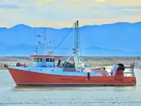 Trawler برای فروش