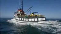 Trawler برای فروش