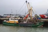 Trawler برای فروش