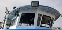 کتاماران برای فروش