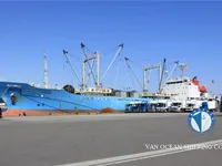کشتی ریفر برای فروش