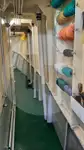 کشتی حمل و نقل ماهی زنده برای فروش