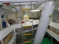 کشتی حمل مواد فله برای فروش