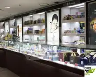 Ro-Ro ship برای فروش