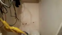 کشتی تریلر برای فروش