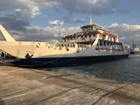 Ro-Ro ship برای فروش