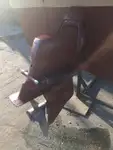 کشتی راهنما برای فروش