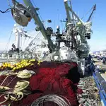 Purse seiner برای فروش