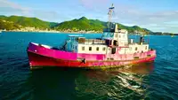 General Cargo/Multi-purpose برای فروش