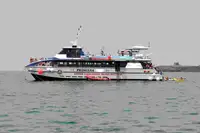 کاتاماران برای فروش