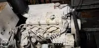 کتاماران برای فروش