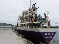 General Cargo/Multi-purpose برای فروش