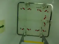 کشتی حمل مواد فله برای فروش