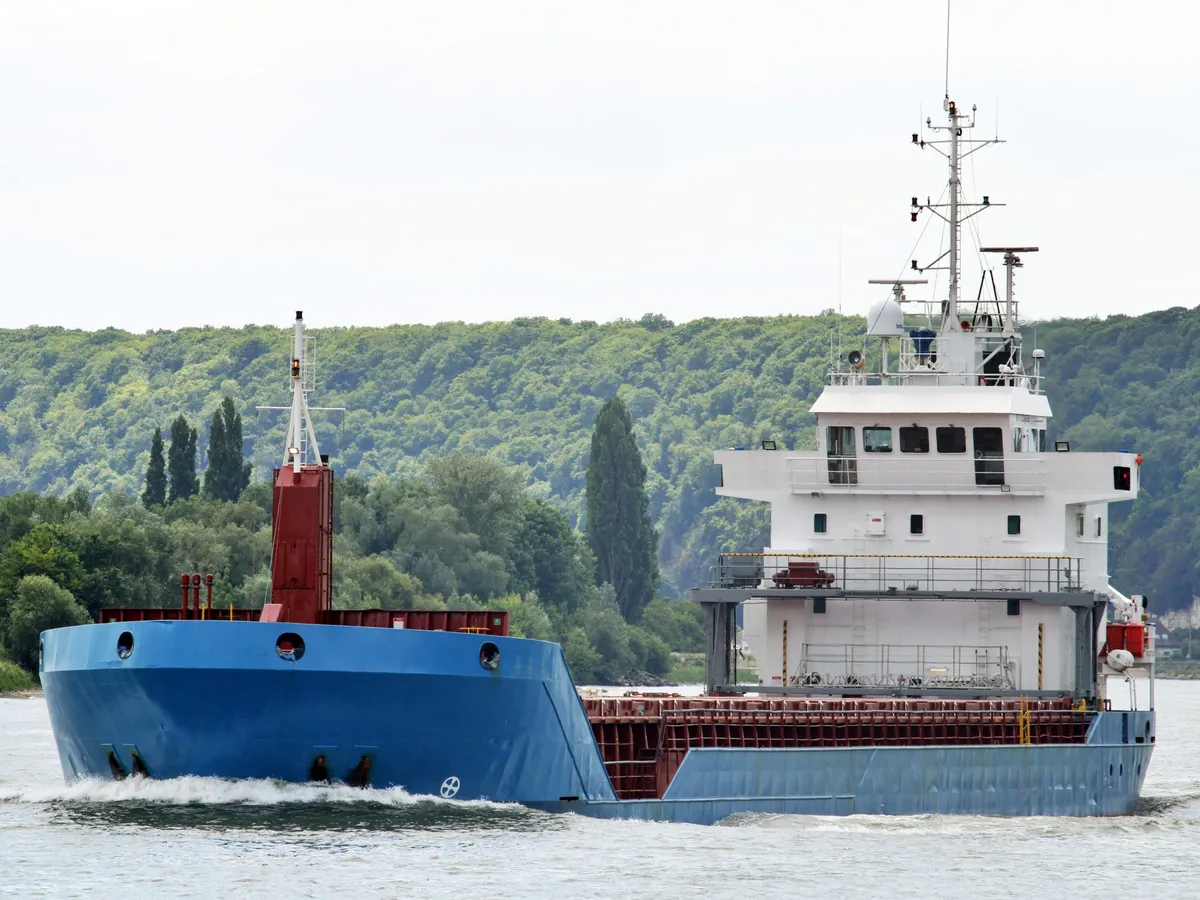 General Cargo/Multi-purpose برای فروش