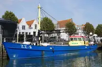 Trawler برای فروش