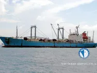 کشتی ریفر برای فروش
