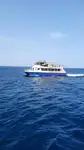 کاتاماران برای فروش