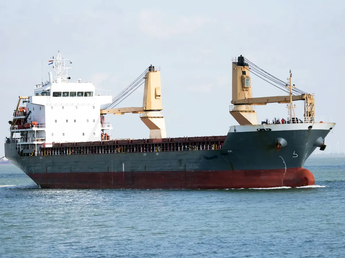 General Cargo/Multi-purpose برای فروش