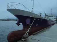 General Cargo/Multi-purpose برای فروش