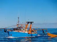 Trawler برای فروش