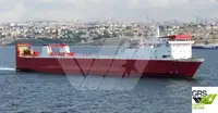 Ro-Ro ship برای فروش