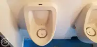 کتاماران برای فروش